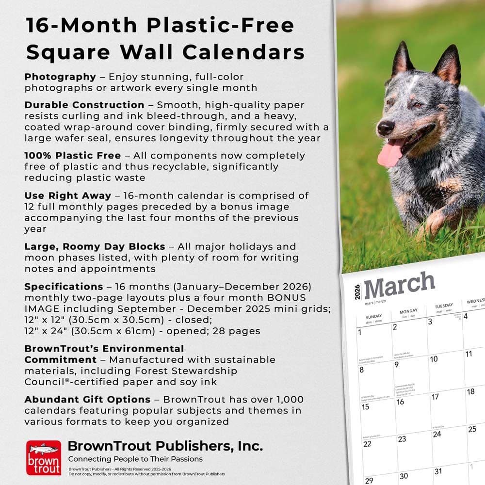  Fifth Alternate Image