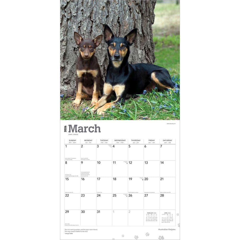  Second Alternate Image