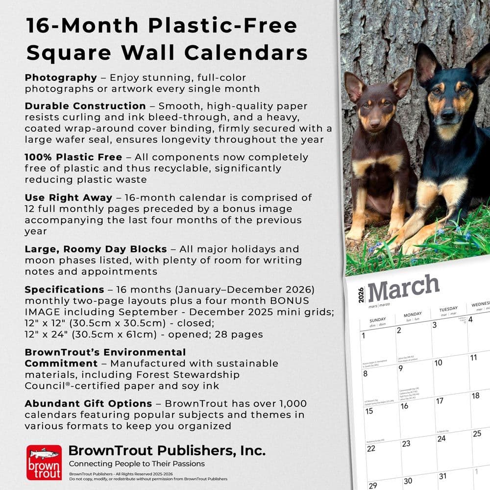  Fifth Alternate Image