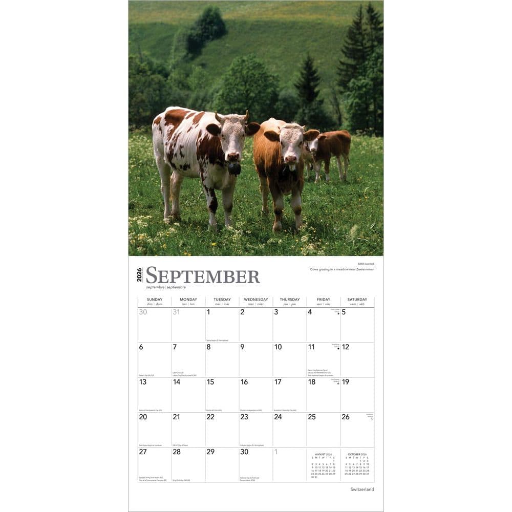  Third Alternate Image