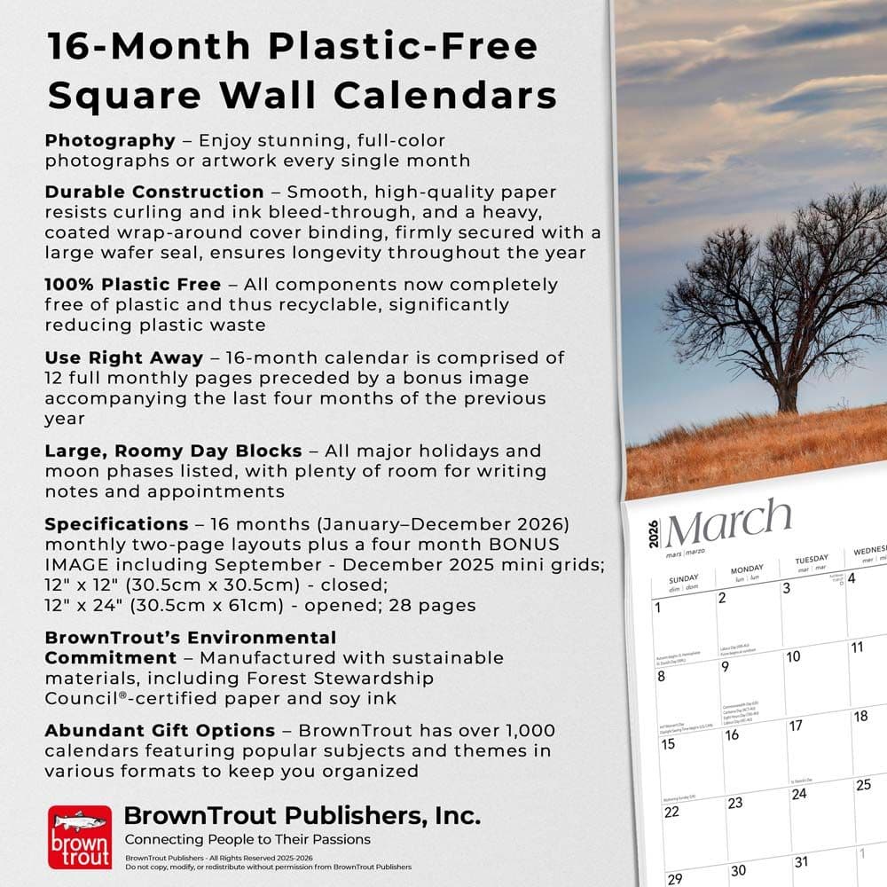  Fifth Alternate Image