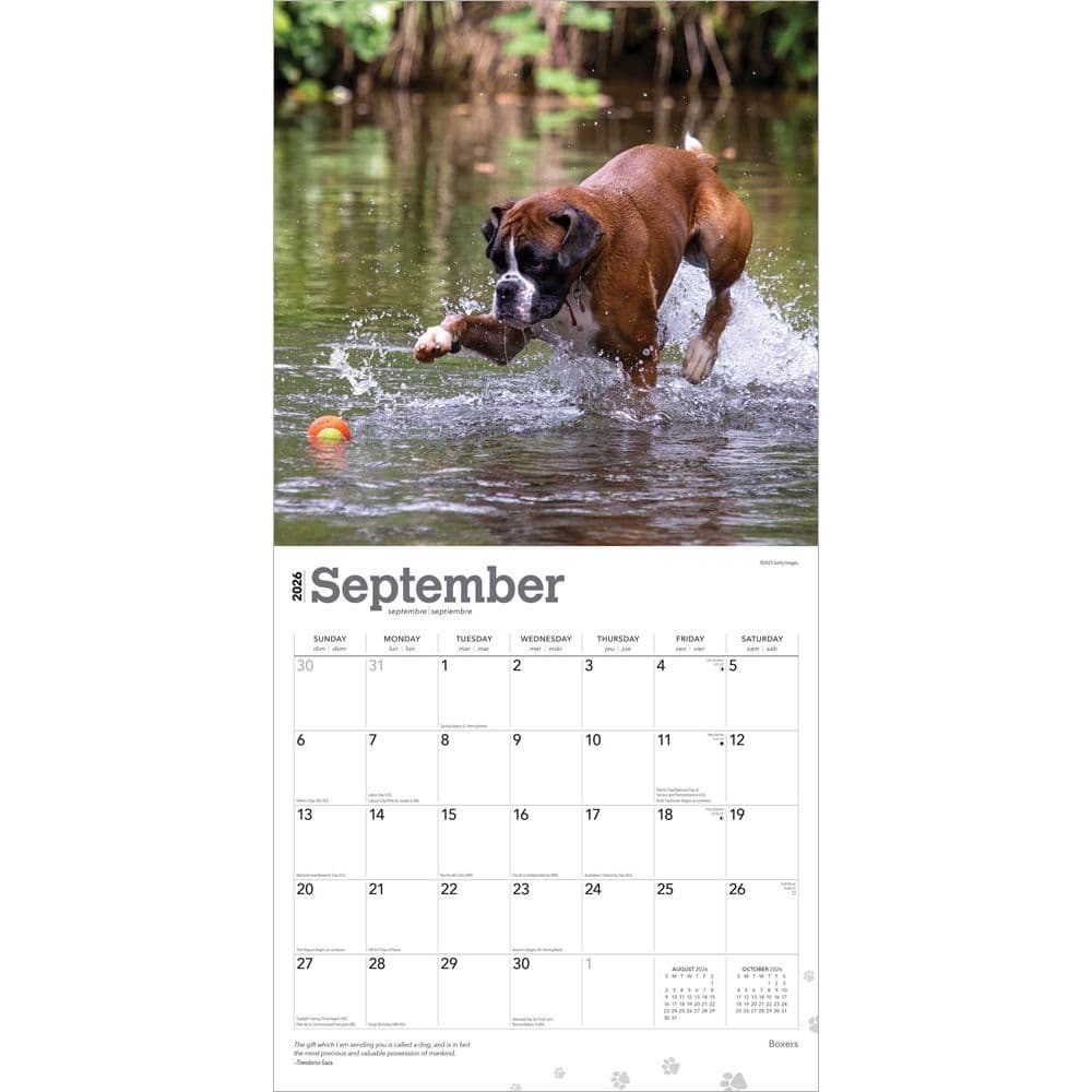  Third Alternate Image