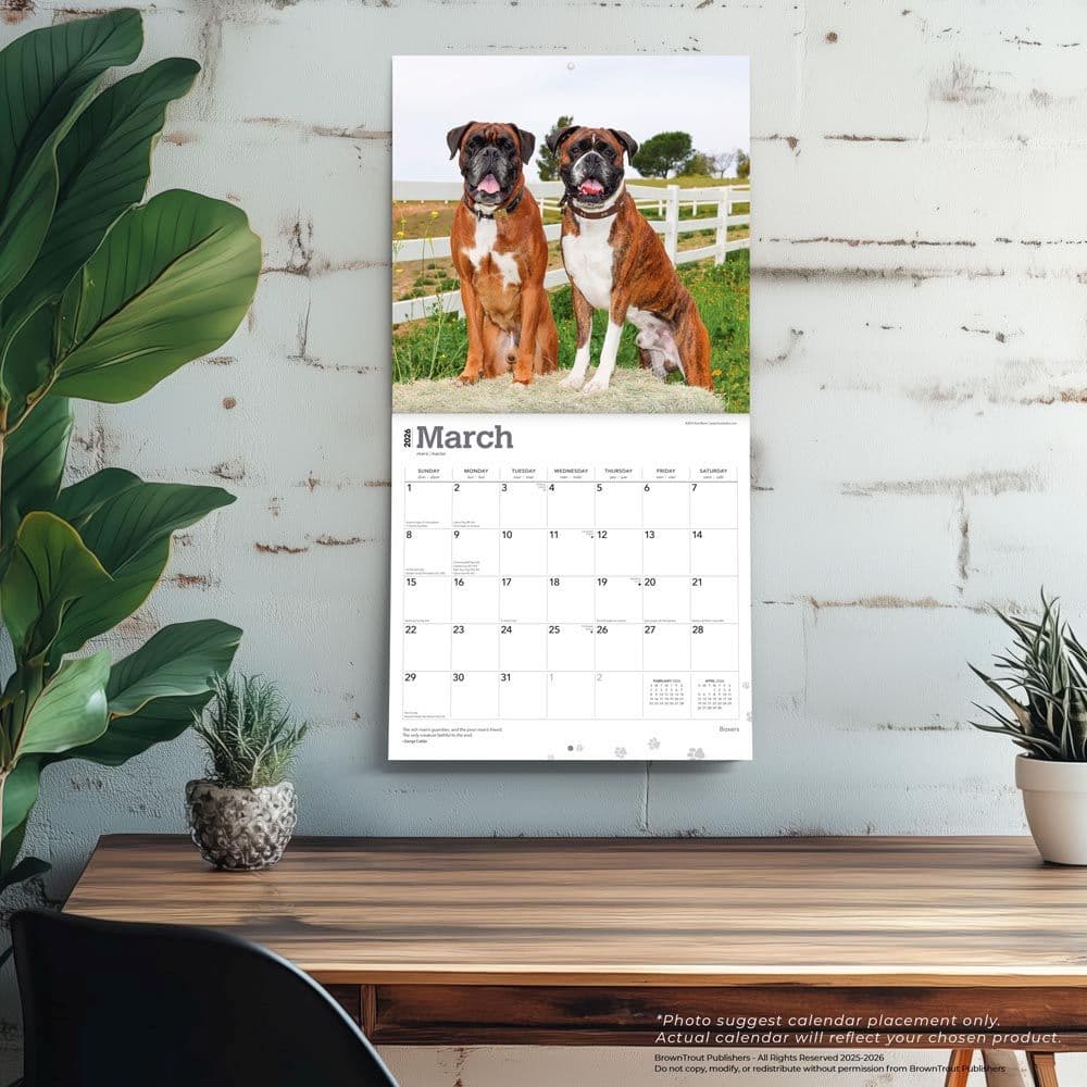  Fourth Alternate Image