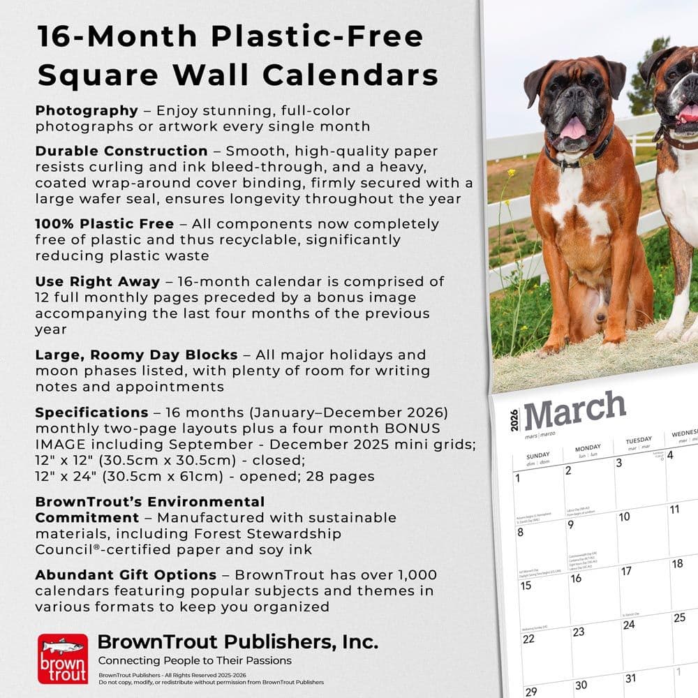  Fifth Alternate Image