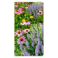 image  Main Product Image