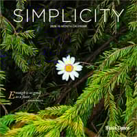 image  Main Product Image