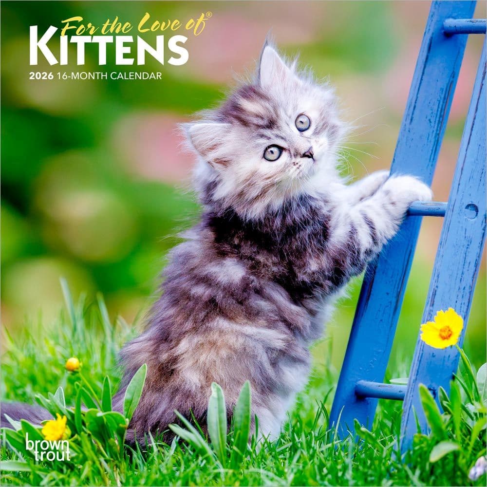 Kittens Love of 2026 Mini Wall Calendar - Calendars.com