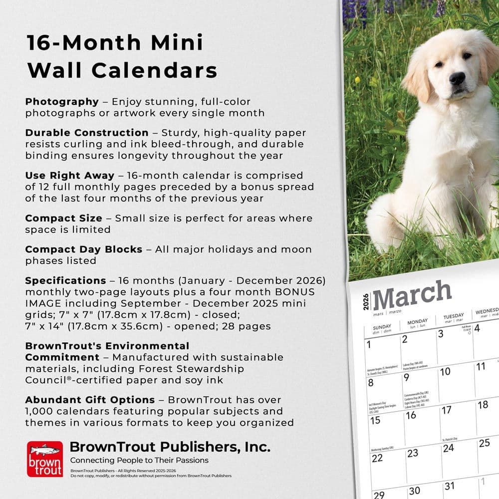  Fifth Alternate Image