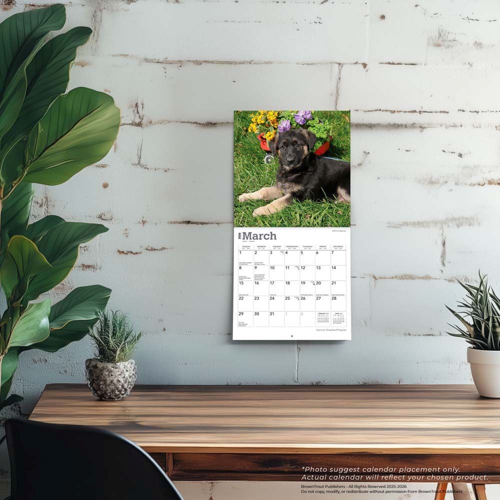  Fourth Alternate Image