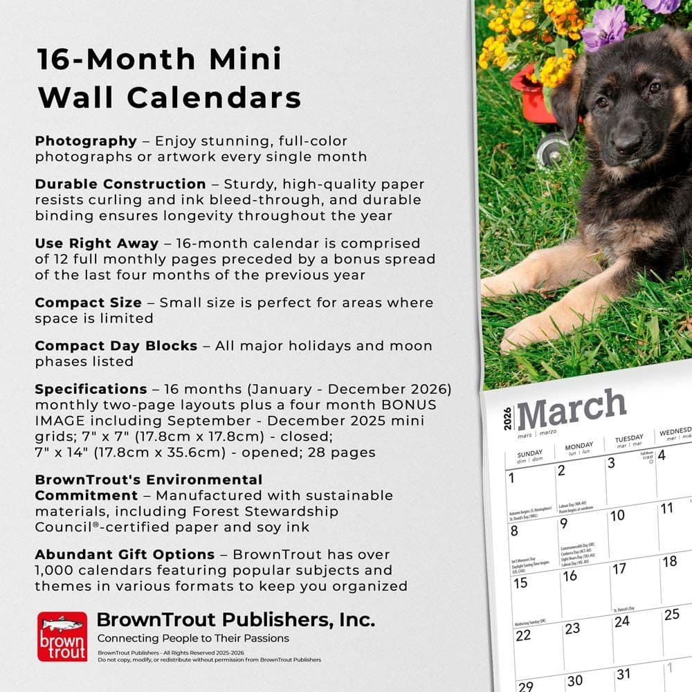  Fifth Alternate Image