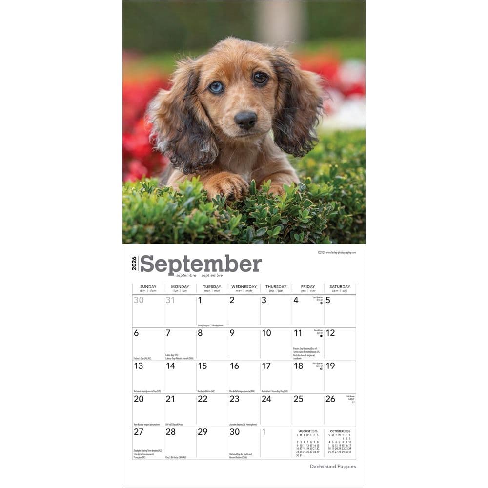  Third Alternate Image