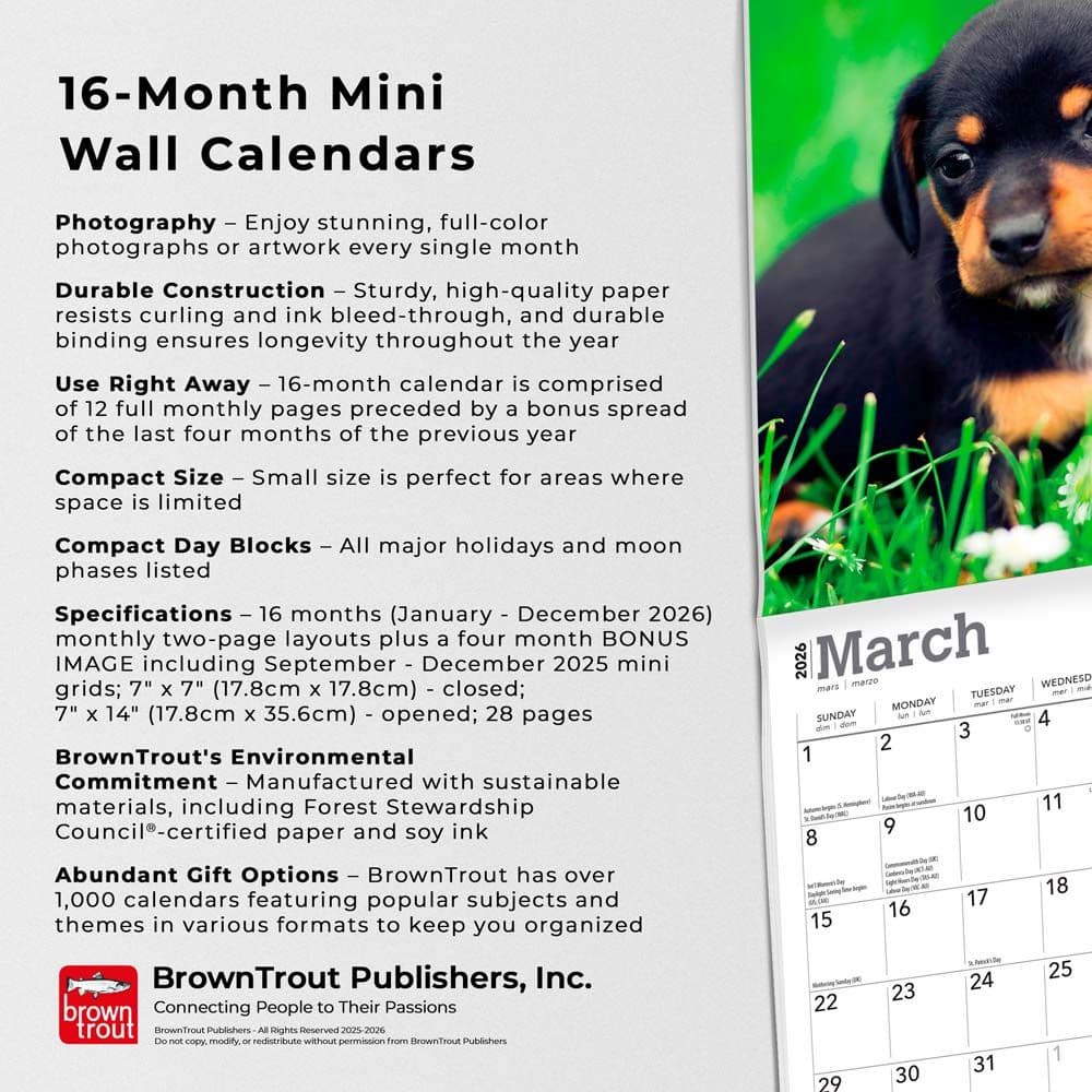  Fifth Alternate Image