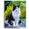 image  Main Product Image