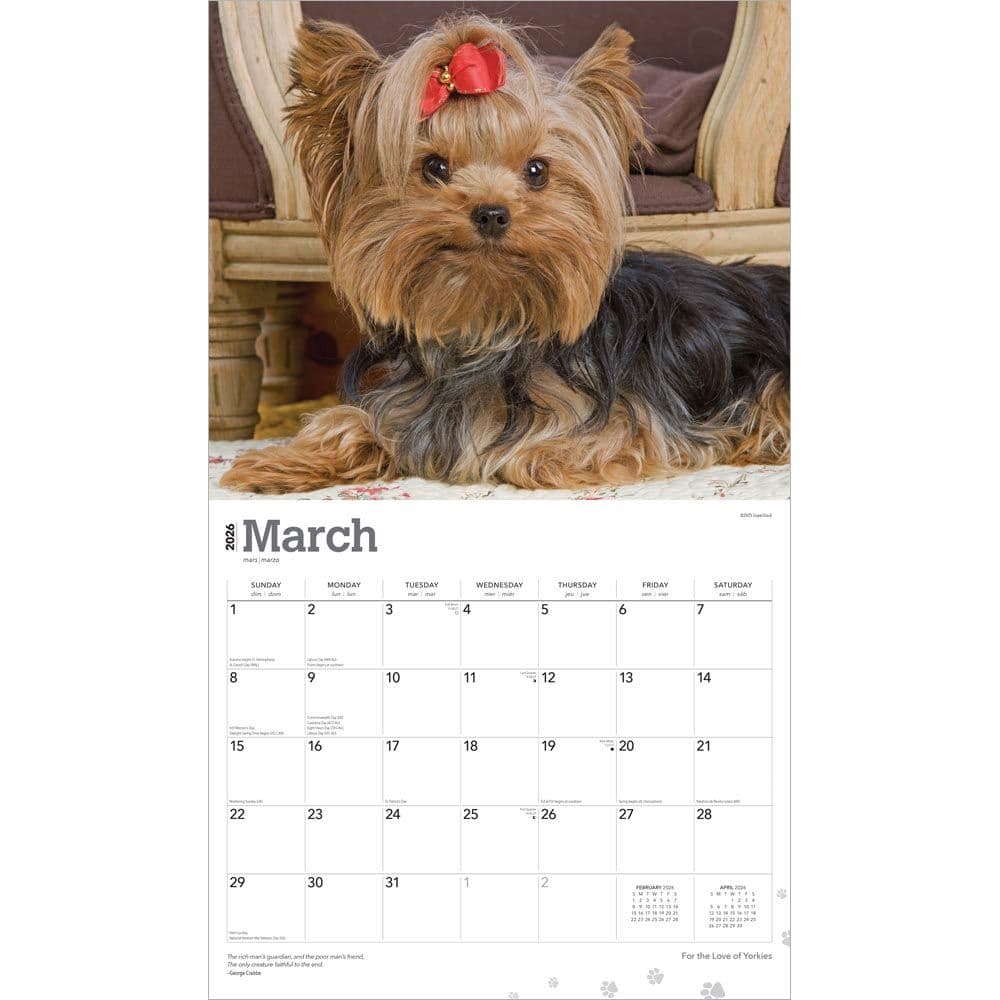  Second Alternate Image