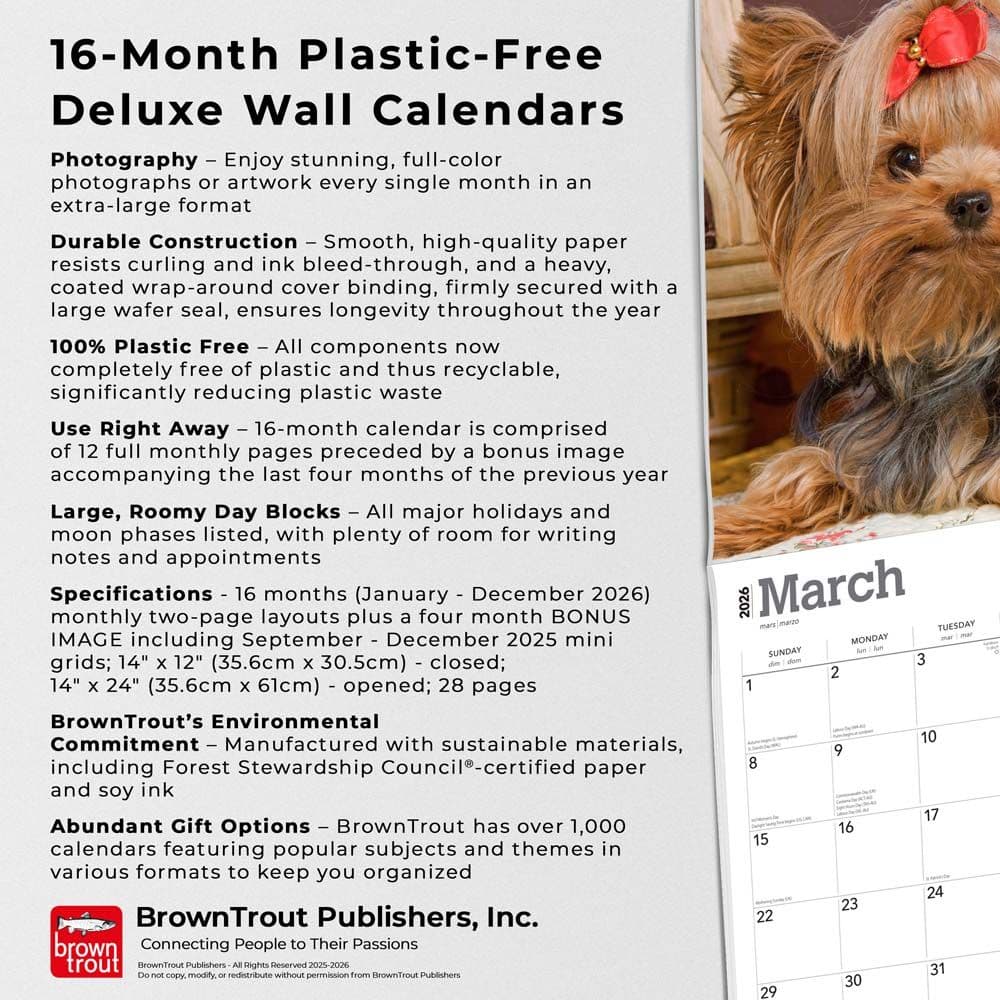  Fifth Alternate Image