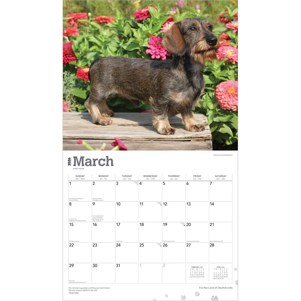  Second Alternate Image