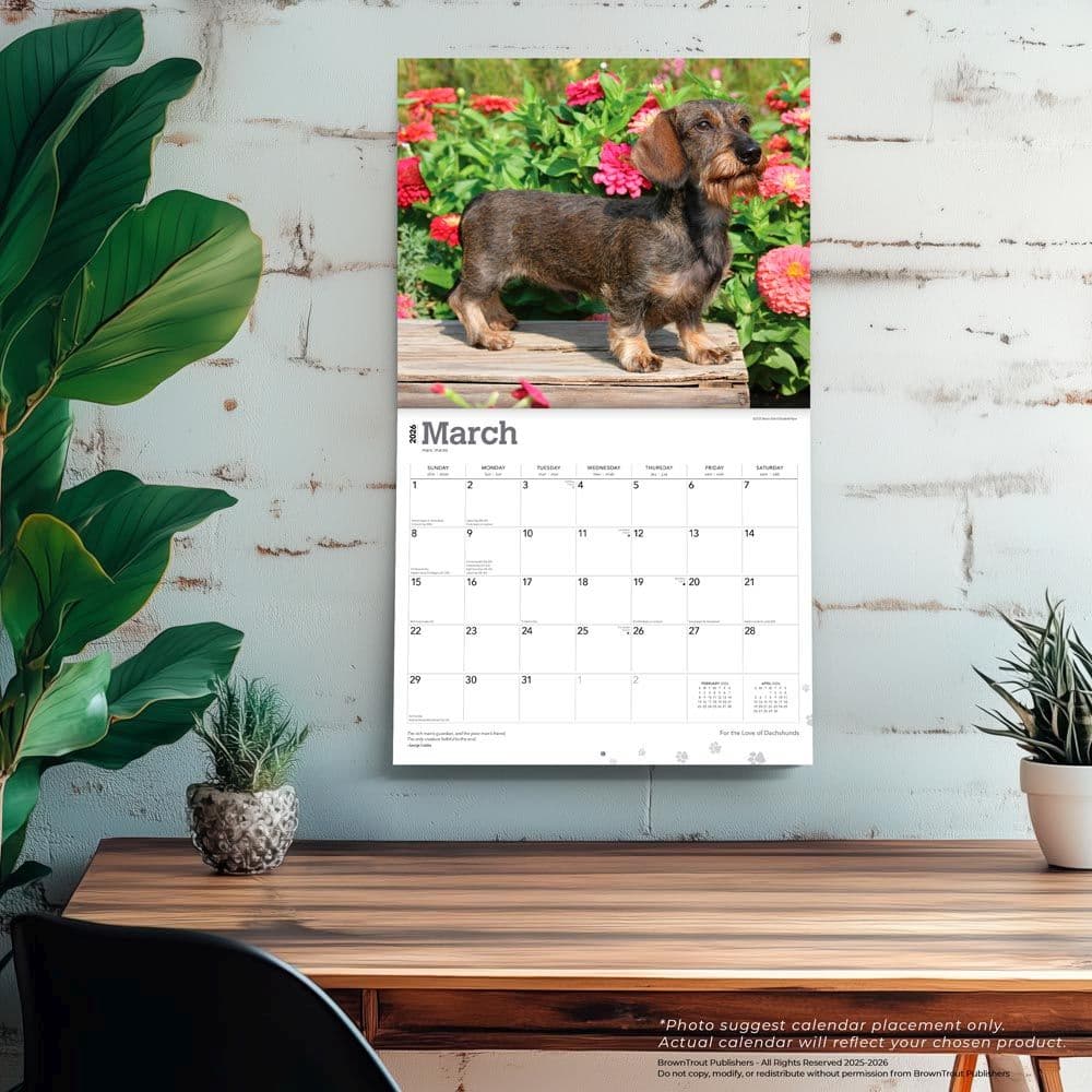  Fourth Alternate Image