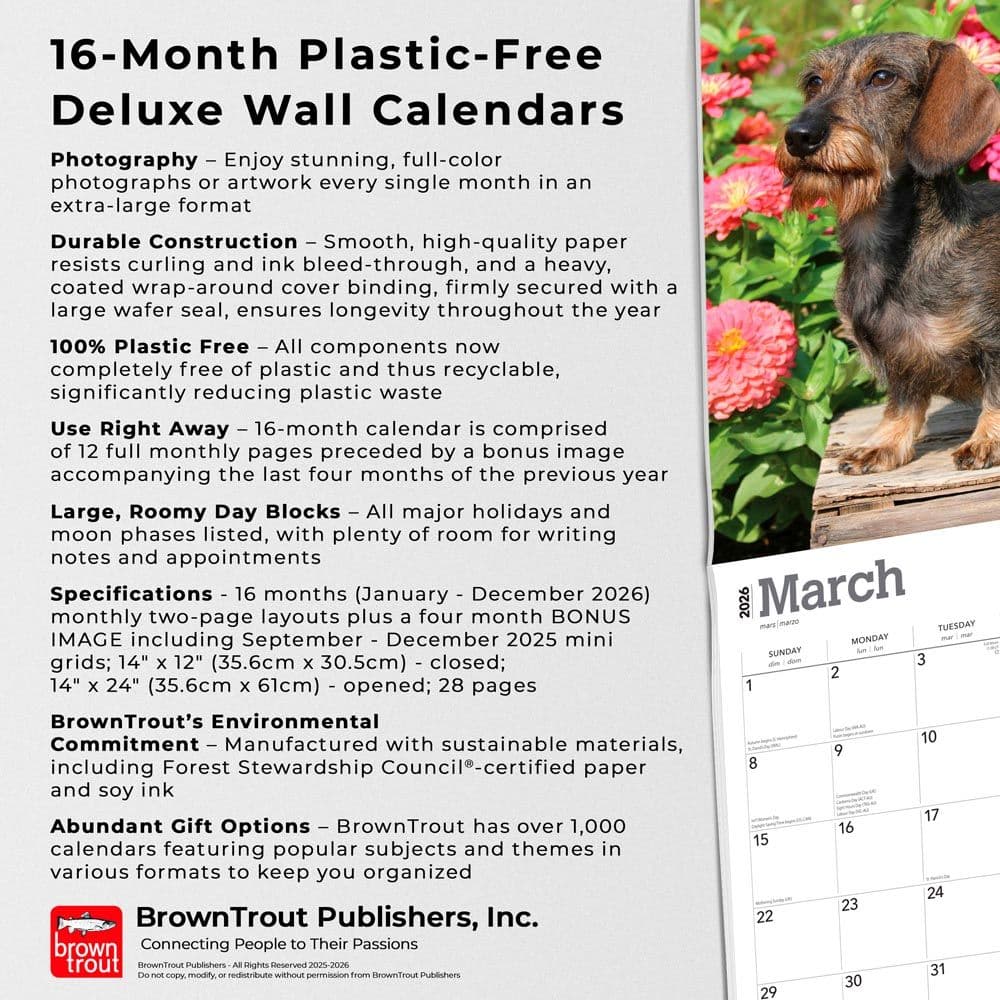  Fifth Alternate Image