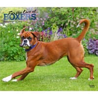 image  Main Product Image