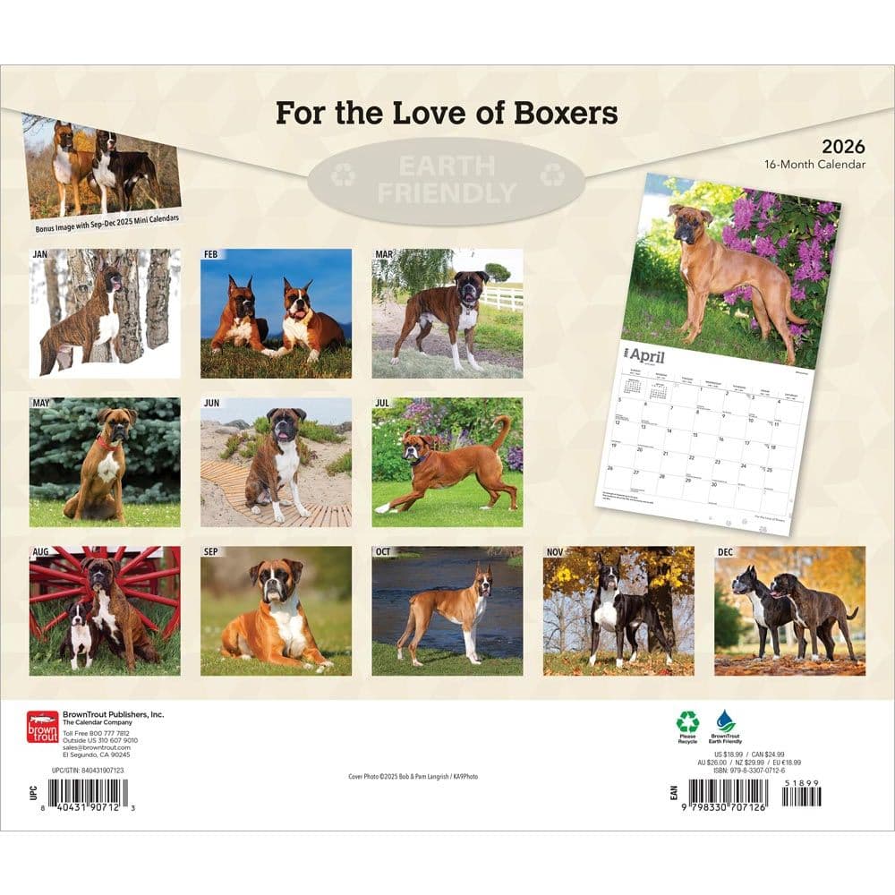  First Alternate Image