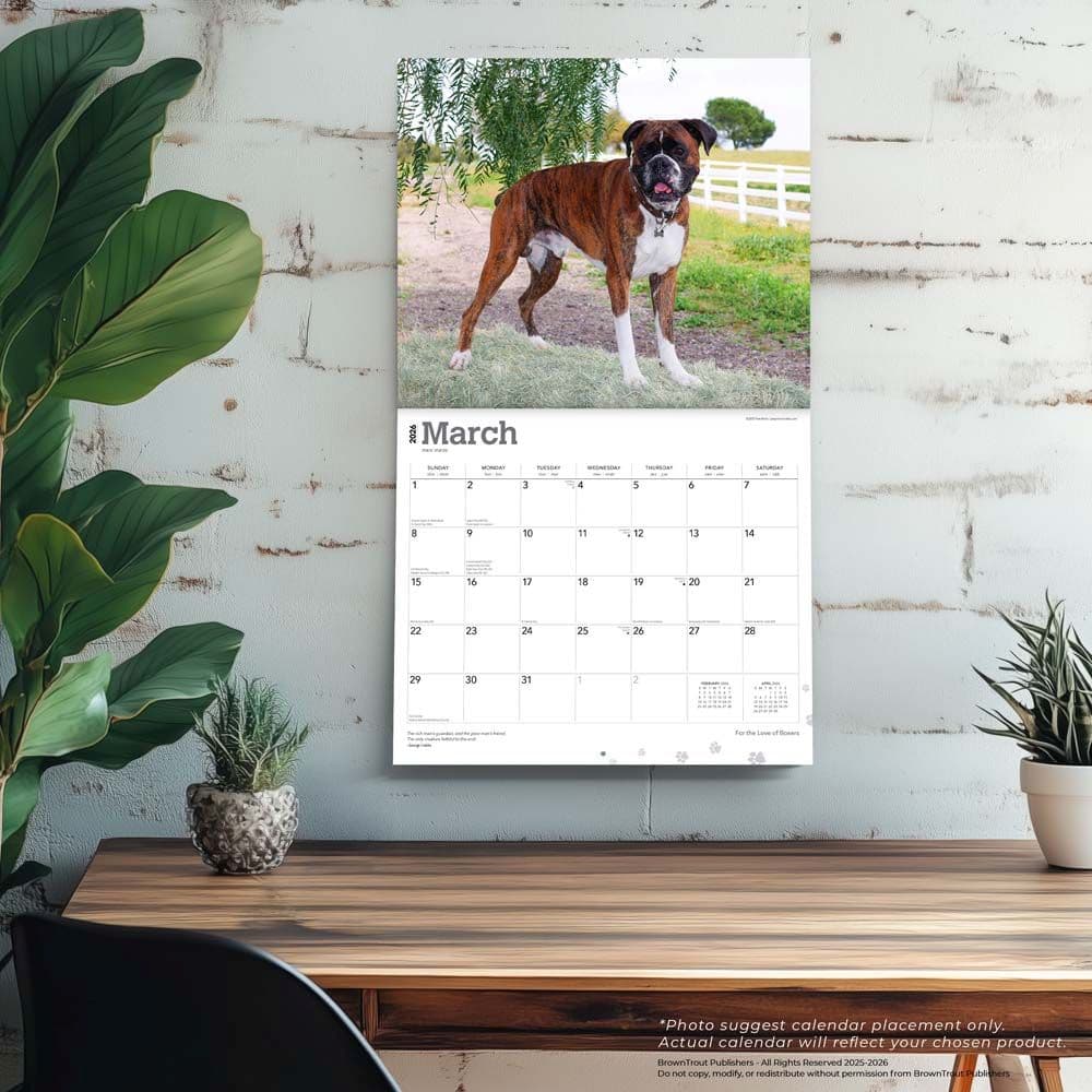  Fourth Alternate Image