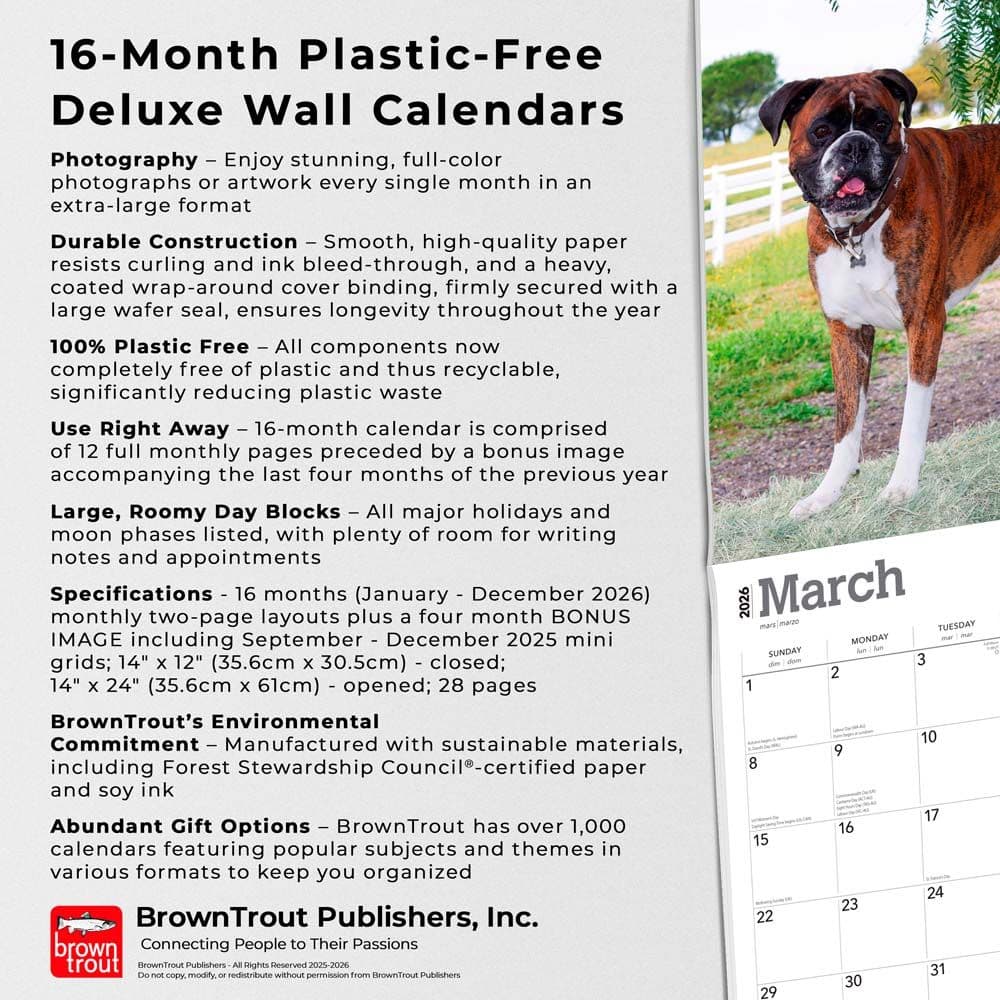  Fifth Alternate Image