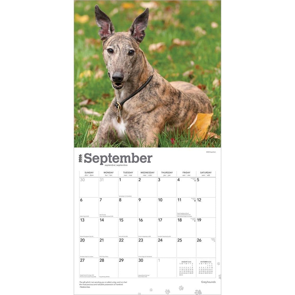  Third Alternate Image