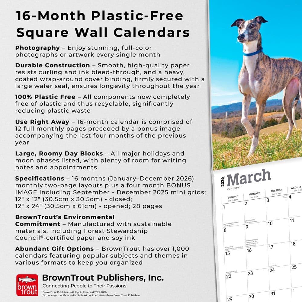  Fifth Alternate Image