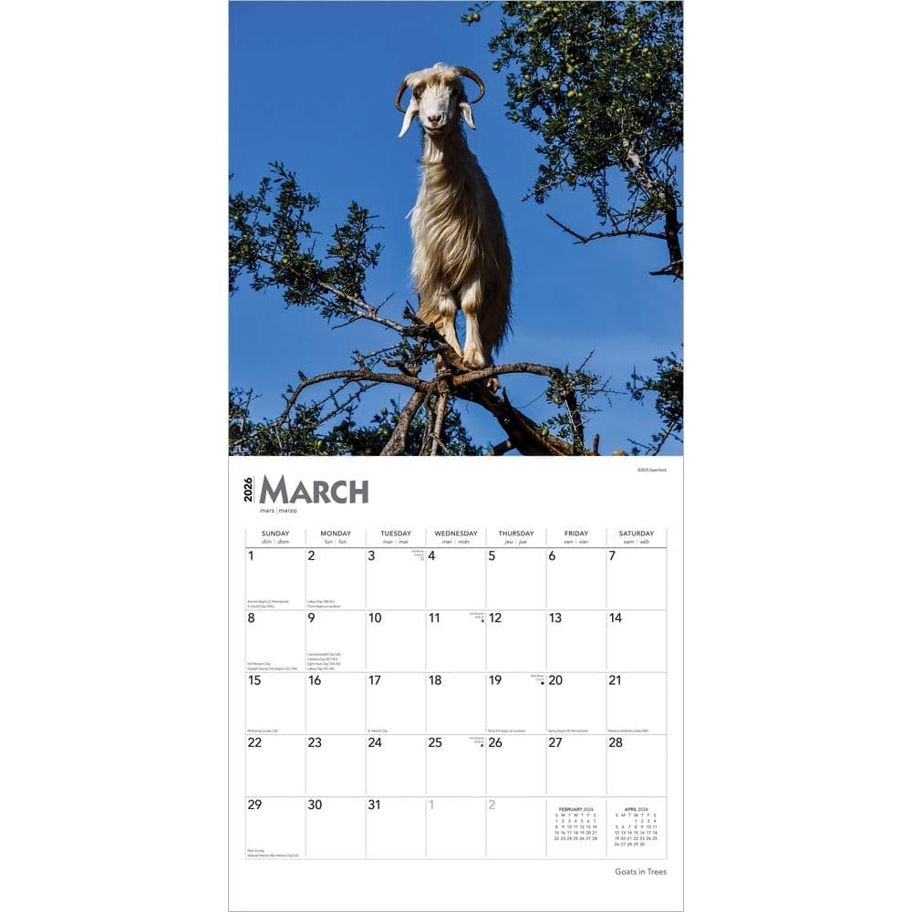  Second Alternate Image