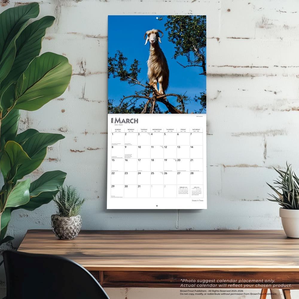  Fourth Alternate Image