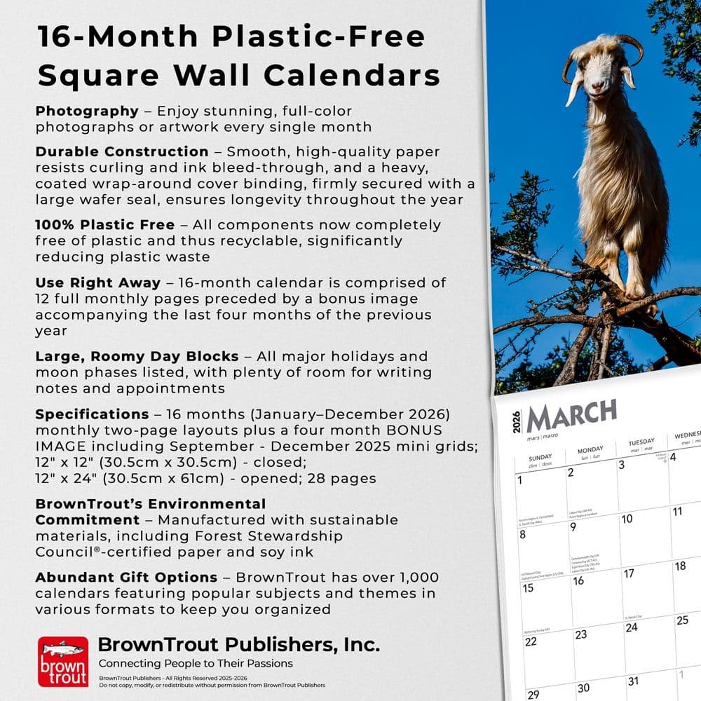  Fifth Alternate Image