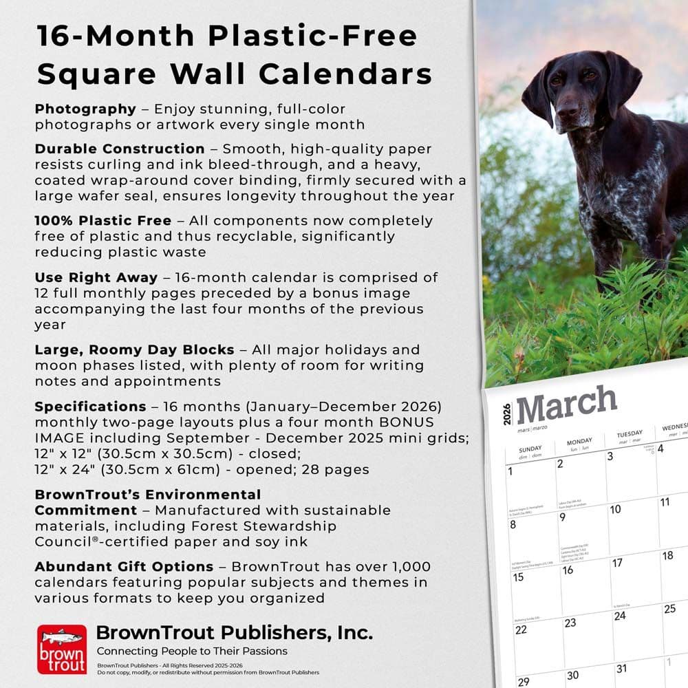  Fifth Alternate Image