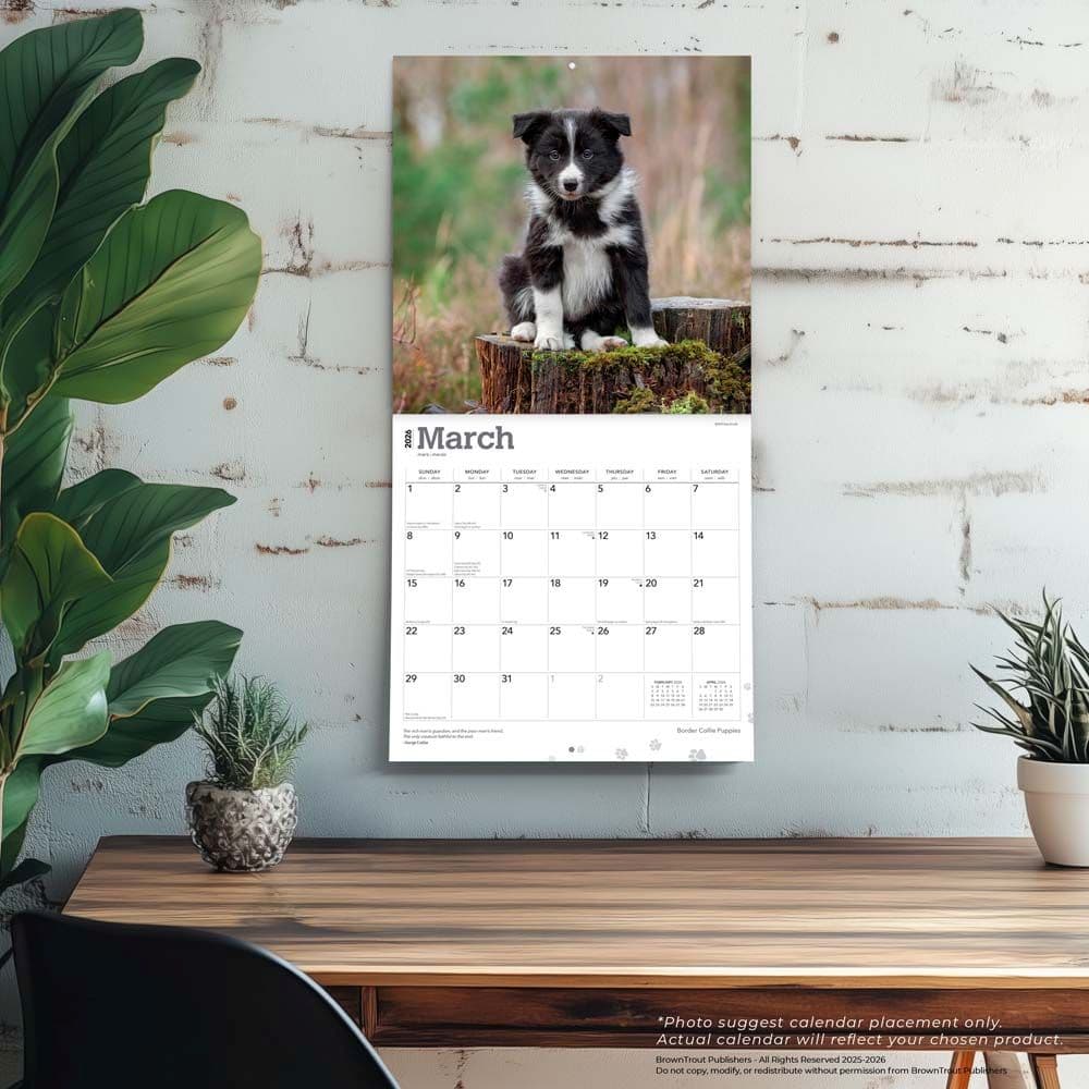  Fourth Alternate Image