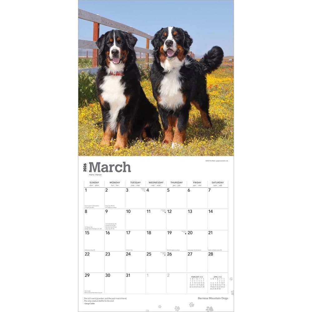  Second Alternate Image