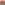 image  Main Product Image