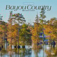 image  Main Product Image