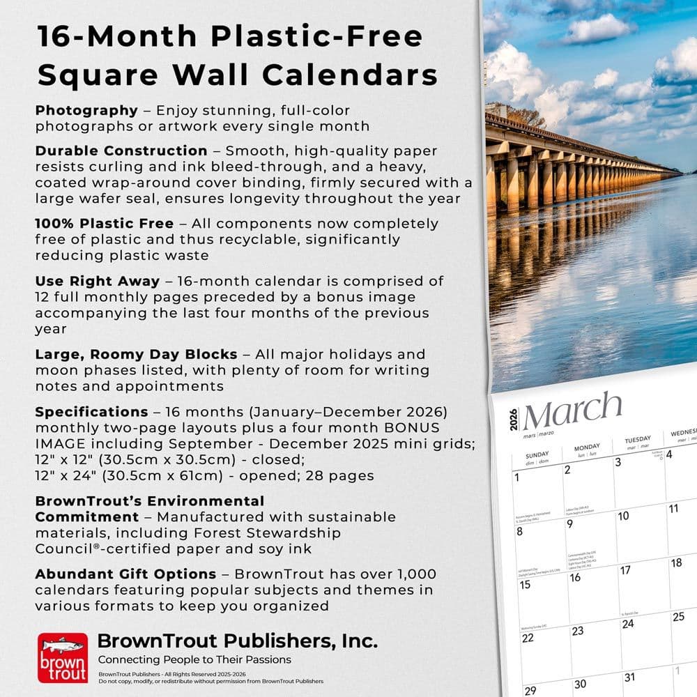  Fifth Alternate Image