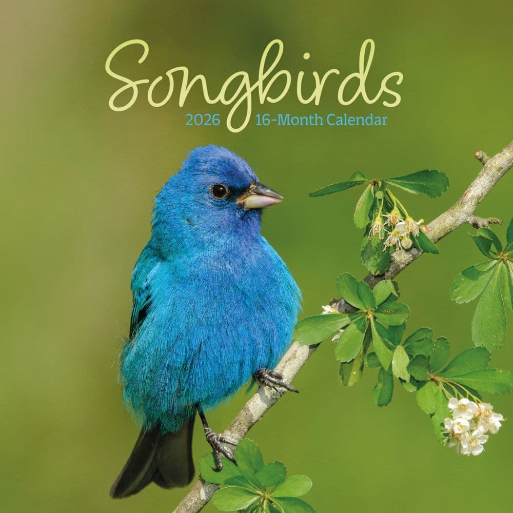 Songbirds 2026 Mini Wall Calendar Main Product Image