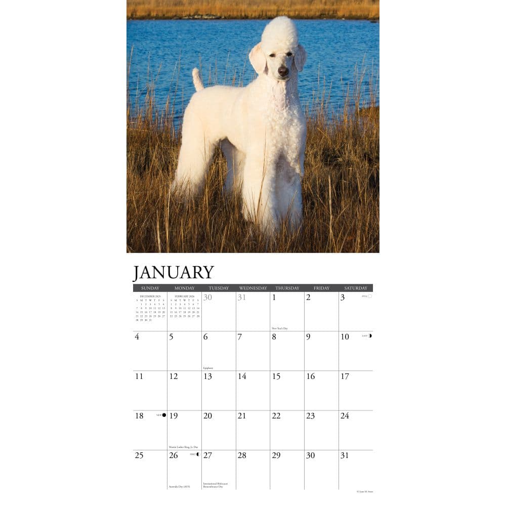  Second Alternate Image