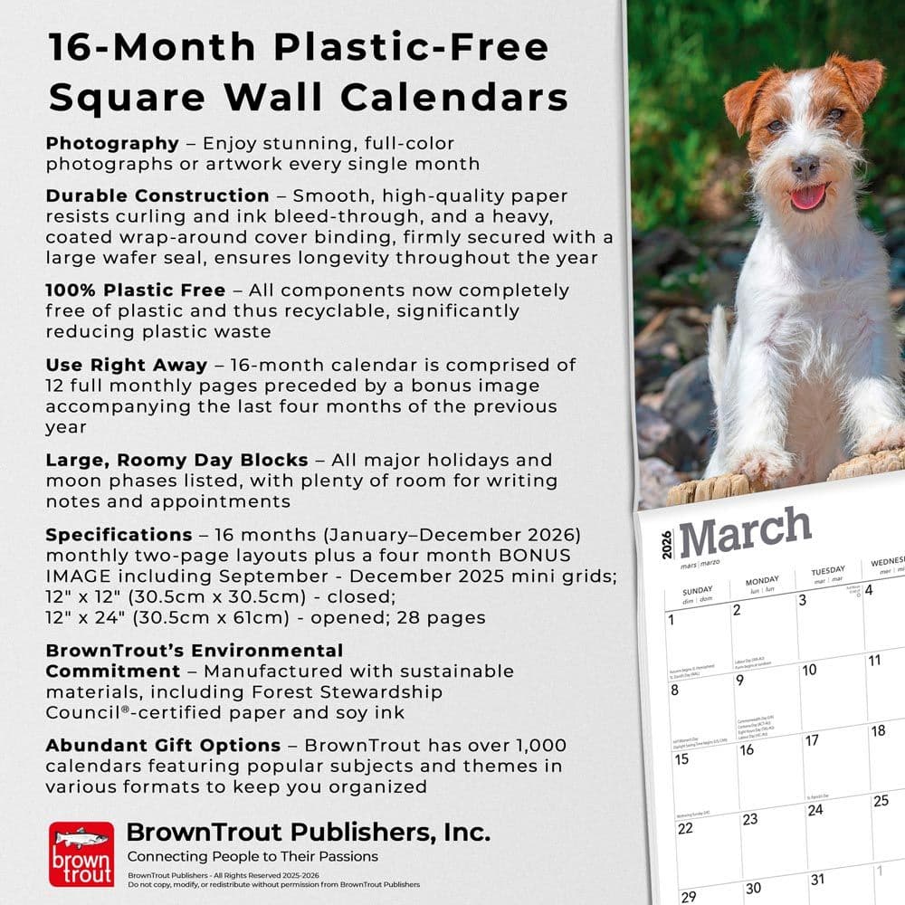  Fifth Alternate Image