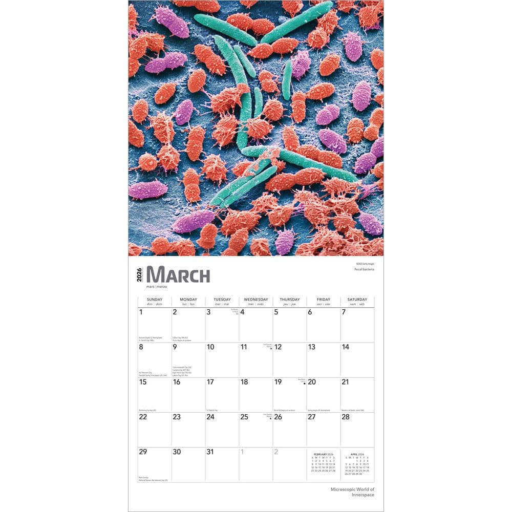  Second Alternate Image