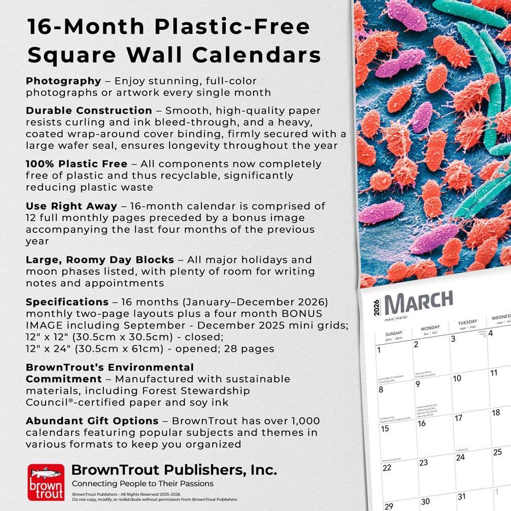  Fifth Alternate Image