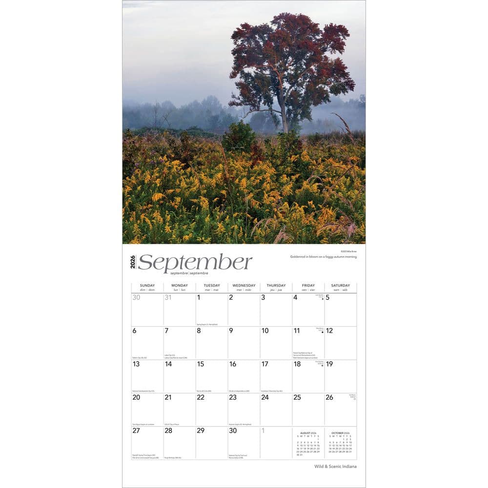  Third Alternate Image