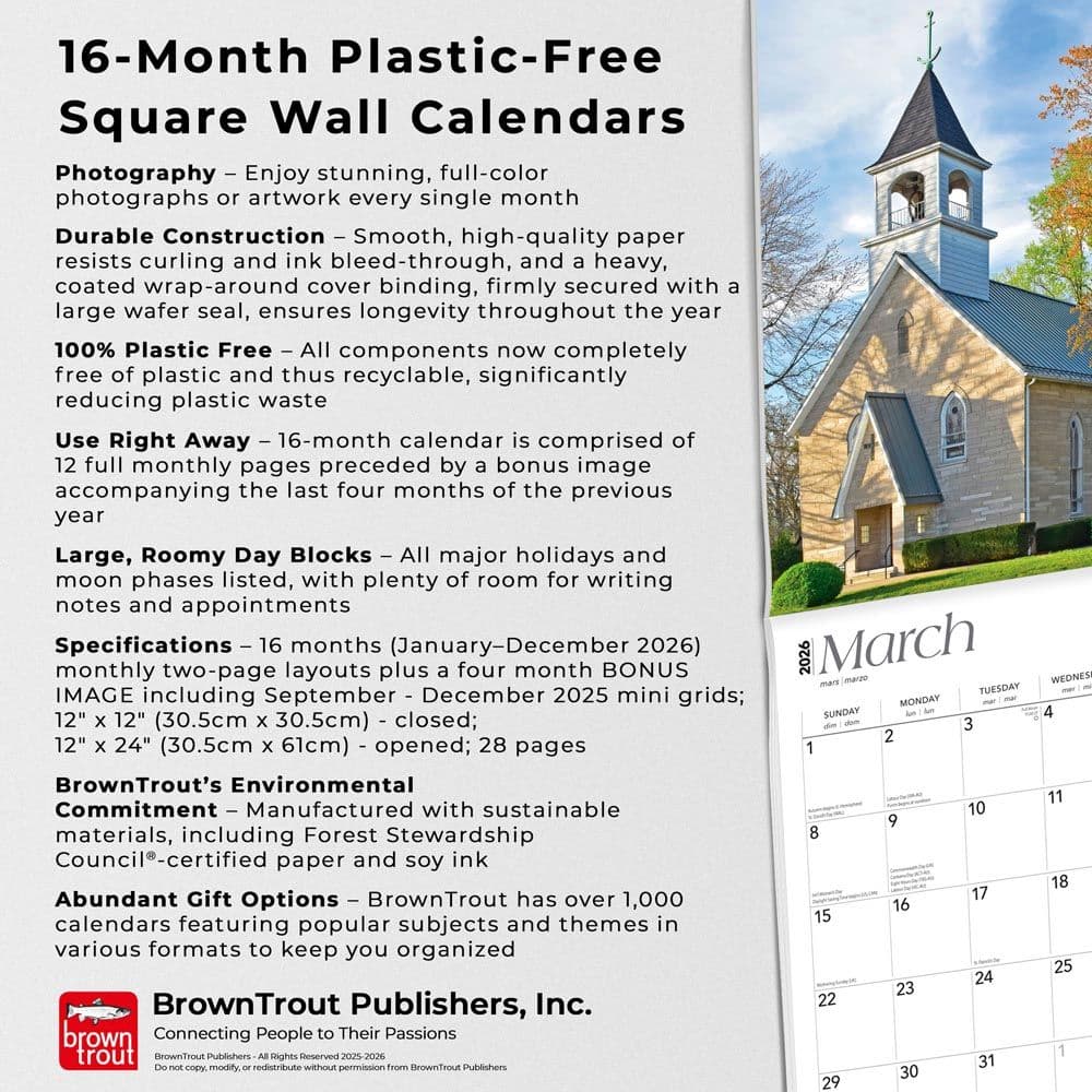  Fifth Alternate Image