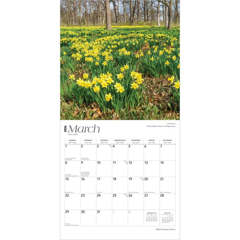  Second Alternate Image