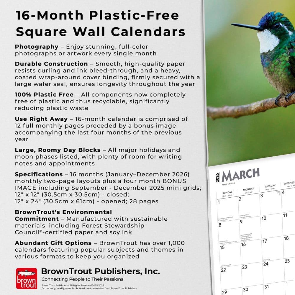  Fifth Alternate Image