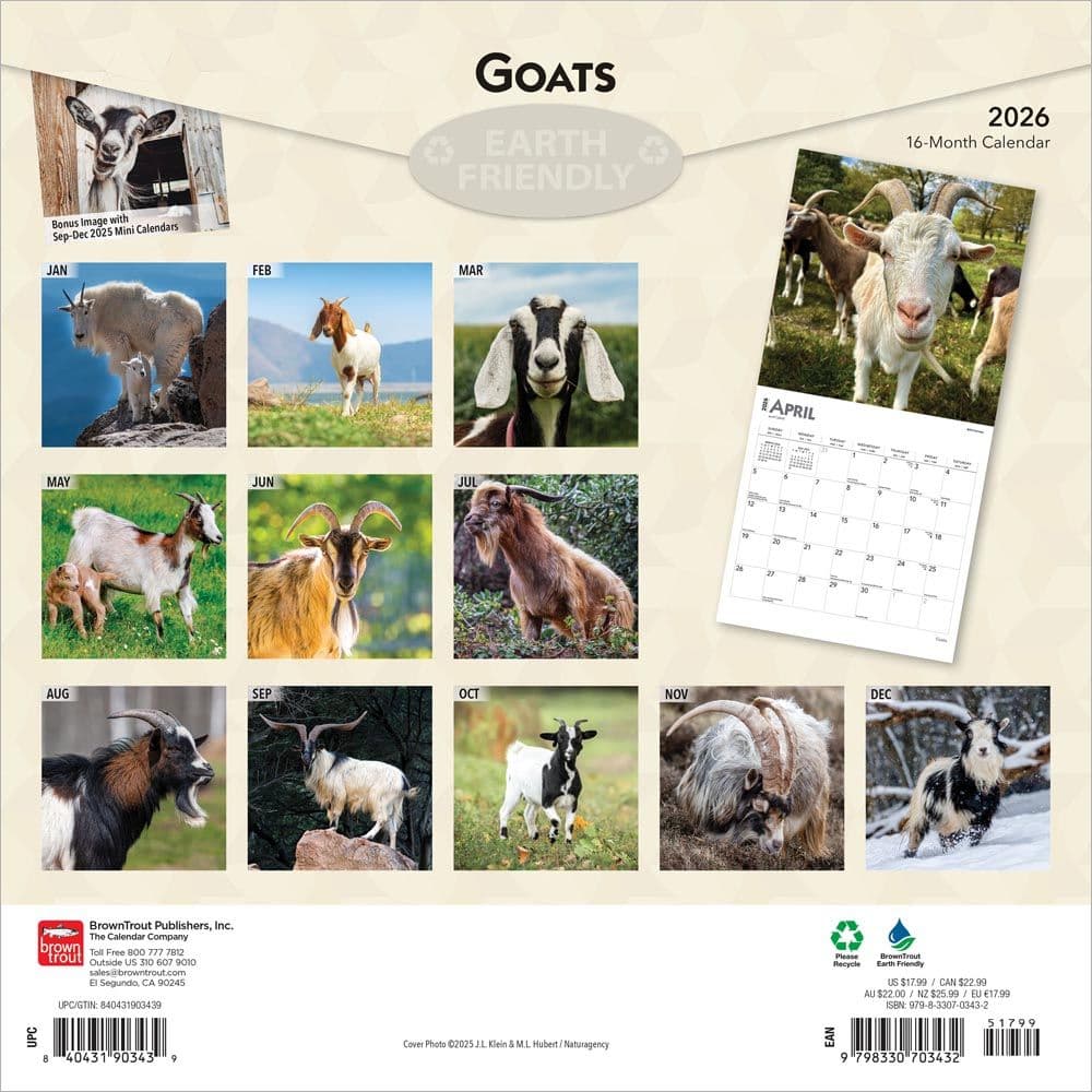  First Alternate Image