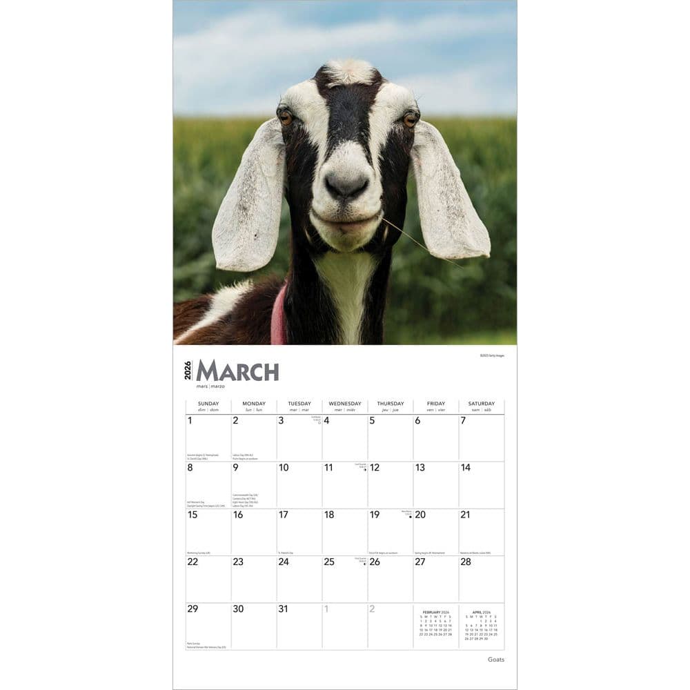  Second Alternate Image