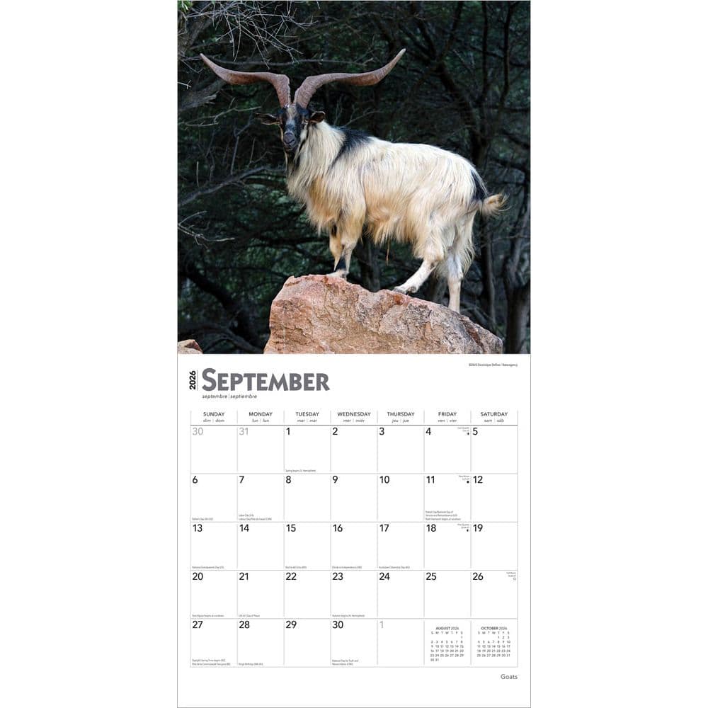  Third Alternate Image