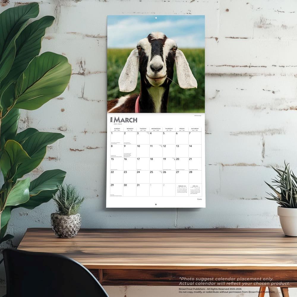  Fourth Alternate Image